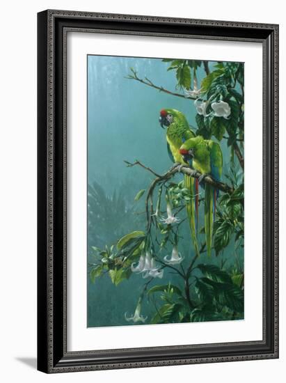 Buffons Macaws-Michael Jackson-Framed Giclee Print