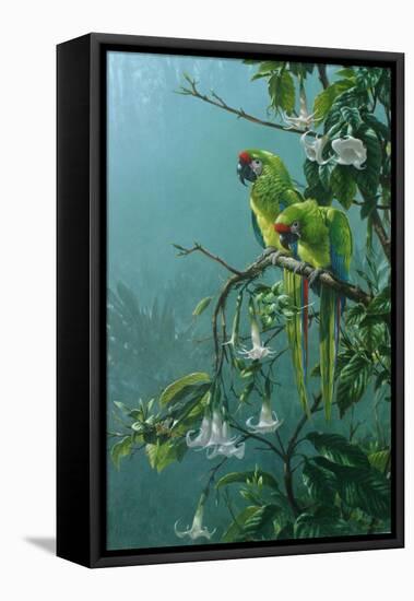 Buffons Macaws-Michael Jackson-Framed Premier Image Canvas