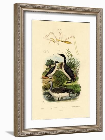 Bug, 1833-39-null-Framed Giclee Print