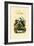 Bug, 1833-39-null-Framed Giclee Print