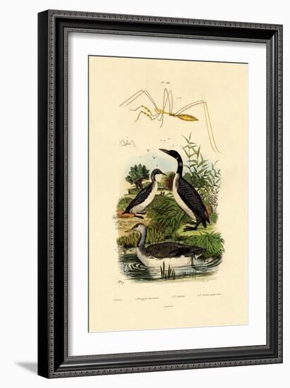 Bug, 1833-39-null-Framed Giclee Print