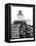 Bug Light, Portland-Laura Denardo-Framed Stretched Canvas