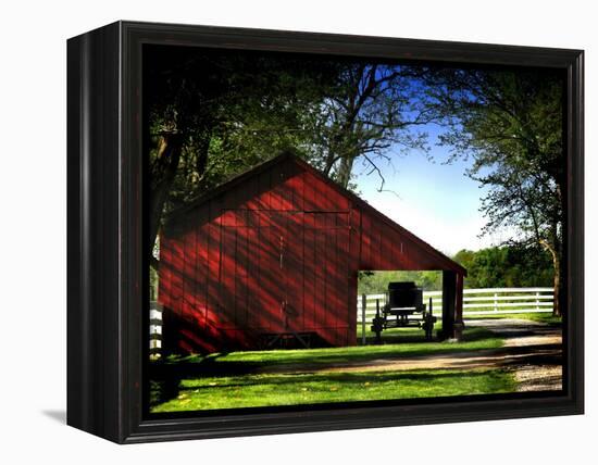 Buggy in the Red Barn-Jody Miller-Framed Premier Image Canvas