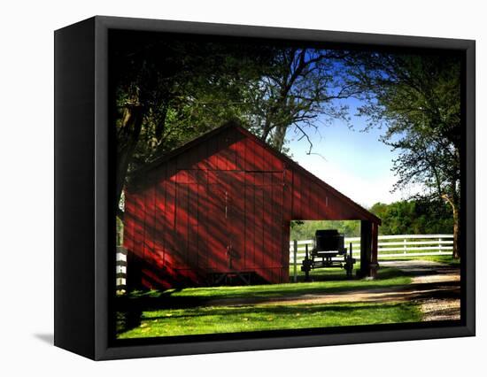 Buggy in the Red Barn-Jody Miller-Framed Premier Image Canvas