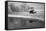 Buggy & Pond, Shipshewana, Indiana '13-Monte Nagler-Framed Stretched Canvas
