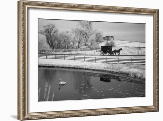 Buggy & Pond, Shipshewana, Indiana '13-Monte Nagler-Framed Photographic Print