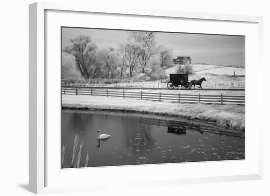 Buggy & Pond, Shipshewana, Indiana '13-Monte Nagler-Framed Photographic Print