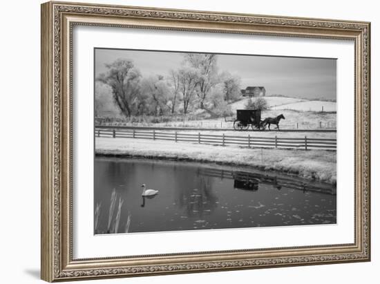 Buggy & Pond, Shipshewana, Indiana '13-Monte Nagler-Framed Photographic Print