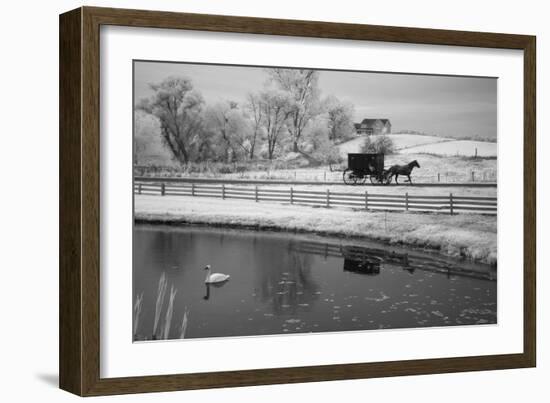 Buggy & Pond, Shipshewana, Indiana '13-Monte Nagler-Framed Photographic Print