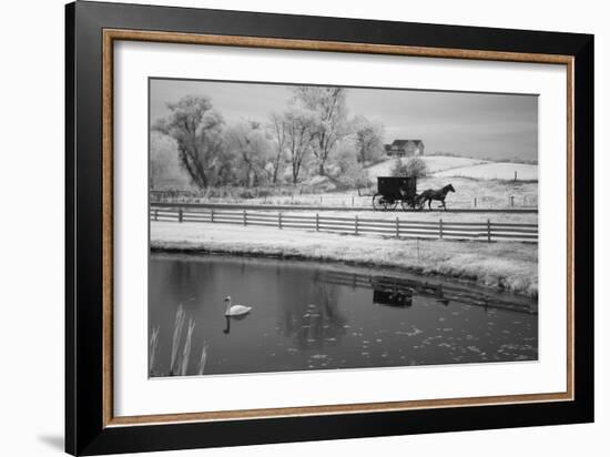 Buggy & Pond, Shipshewana, Indiana '13-Monte Nagler-Framed Photographic Print