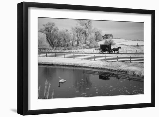 Buggy & Pond, Shipshewana, Indiana '13-Monte Nagler-Framed Photographic Print