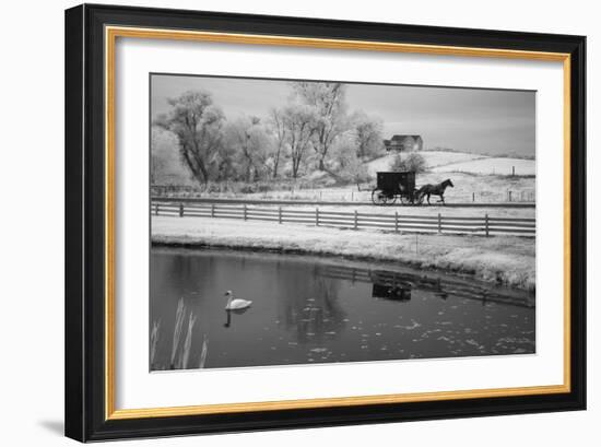 Buggy & Pond, Shipshewana, Indiana '13-Monte Nagler-Framed Photographic Print