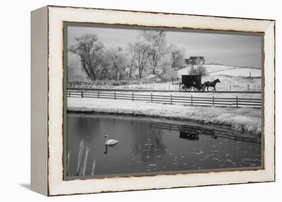 Buggy & Pond, Shipshewana, Indiana '13-Monte Nagler-Framed Premier Image Canvas