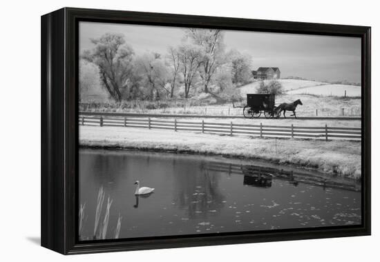 Buggy & Pond, Shipshewana, Indiana '13-Monte Nagler-Framed Premier Image Canvas