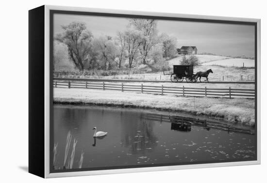 Buggy & Pond, Shipshewana, Indiana '13-Monte Nagler-Framed Premier Image Canvas