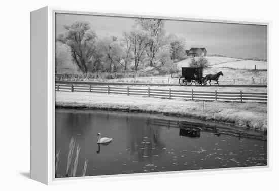 Buggy & Pond, Shipshewana, Indiana '13-Monte Nagler-Framed Premier Image Canvas