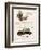 Buick, Magazine Advertisement, USA, 1929-null-Framed Giclee Print