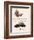 Buick, Magazine Advertisement, USA, 1929-null-Framed Giclee Print