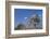 Building a Hut, Gourague Area, Shoa Province, Ethiopia, Africa-Bruno Barbier-Framed Photographic Print