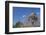 Building a Hut, Gourague Area, Shoa Province, Ethiopia, Africa-Bruno Barbier-Framed Photographic Print