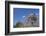 Building a Hut, Gourague Area, Shoa Province, Ethiopia, Africa-Bruno Barbier-Framed Photographic Print