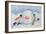 Building a Snowman-David Cooke-Framed Giclee Print