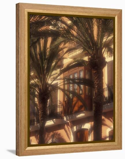 Building and Palms, Eivissa, Ibiza, Balearics, Spain-Walter Bibikow-Framed Premier Image Canvas