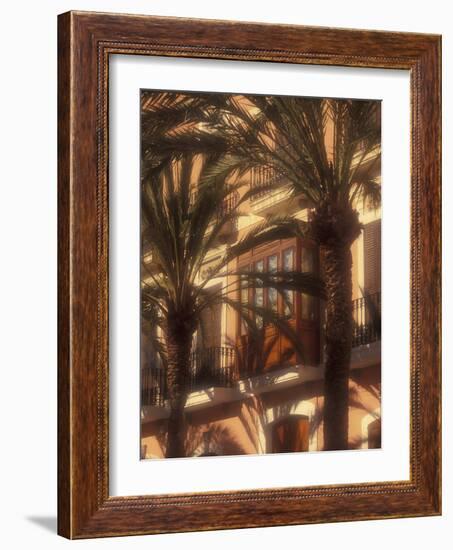 Building and Palms, Eivissa, Ibiza, Balearics, Spain-Walter Bibikow-Framed Photographic Print