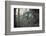 Building and remains of a bunker at a mountain in a wood in winter in Alsace-Axel Killian-Framed Photographic Print