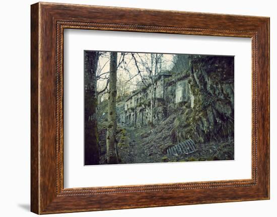 Building and remains of a bunker at a mountain in a wood in winter in Alsace-Axel Killian-Framed Photographic Print