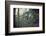 Building and remains of a bunker at a mountain in a wood in winter in Alsace-Axel Killian-Framed Photographic Print