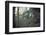 Building and remains of a bunker at a mountain in a wood in winter in Alsace-Axel Killian-Framed Photographic Print