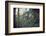 Building and remains of a bunker at a mountain in a wood in winter in Alsace-Axel Killian-Framed Photographic Print