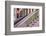 Building exteriors in Harlem, New York City, NY, USA-Julien McRoberts-Framed Photographic Print