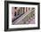 Building exteriors in Harlem, New York City, NY, USA-Julien McRoberts-Framed Photographic Print