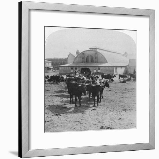 Building in Which Prisoners of War Were Tried, Pretoria, South Africa, Boer War, 1901-Underwood & Underwood-Framed Giclee Print