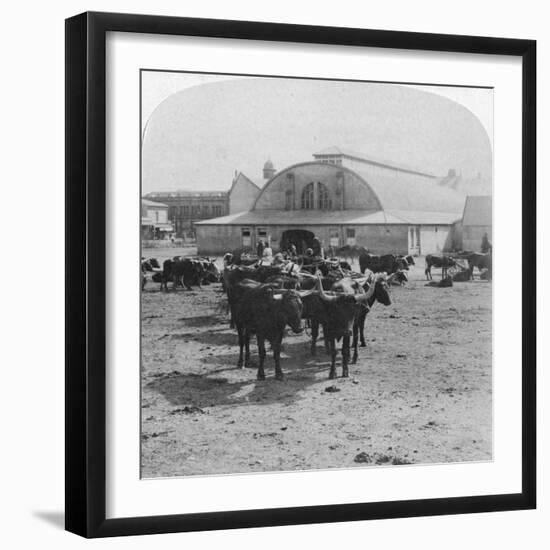 Building in Which Prisoners of War Were Tried, Pretoria, South Africa, Boer War, 1901-Underwood & Underwood-Framed Giclee Print