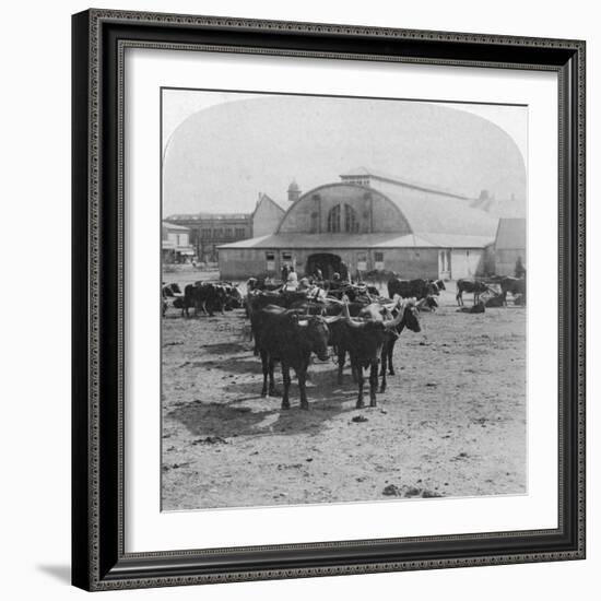 Building in Which Prisoners of War Were Tried, Pretoria, South Africa, Boer War, 1901-Underwood & Underwood-Framed Giclee Print