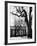 Building on Campus of St. John's College, Annapolis, Maryland-Alfred Eisenstaedt-Framed Photographic Print