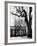 Building on Campus of St. John's College, Annapolis, Maryland-Alfred Eisenstaedt-Framed Photographic Print