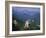 Building on Hill Neuschwanstein Germany-null-Framed Photographic Print