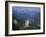 Building on Hill Neuschwanstein Germany-null-Framed Photographic Print