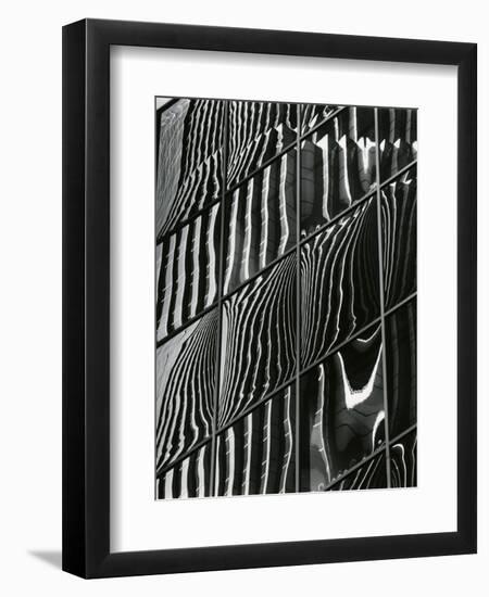 Building Reflection, c. 1975-Brett Weston-Framed Premium Photographic Print