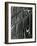 Building Reflection, c. 1975-Brett Weston-Framed Photographic Print