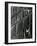 Building Reflection, c. 1975-Brett Weston-Framed Photographic Print