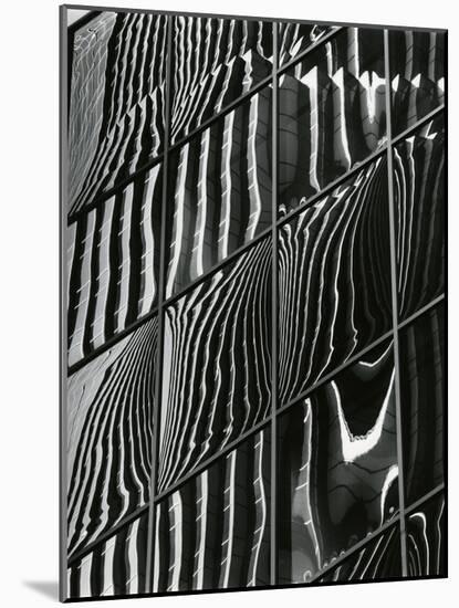 Building Reflection, c. 1975-Brett Weston-Mounted Photographic Print