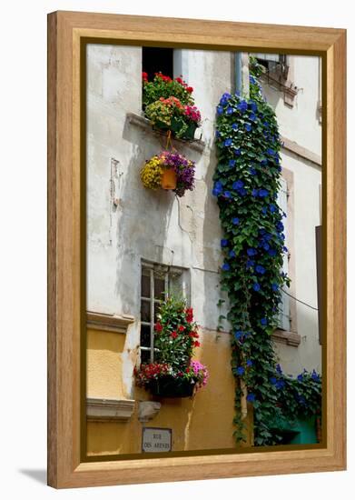 Building with Flower Pots on Each Window, Rue Des Arenes, Arles, Bouches-Du-Rhone-null-Framed Stretched Canvas