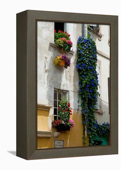 Building with Flower Pots on Each Window, Rue Des Arenes, Arles, Bouches-Du-Rhone-null-Framed Stretched Canvas