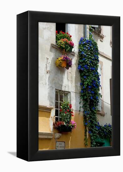 Building with Flower Pots on Each Window, Rue Des Arenes, Arles, Bouches-Du-Rhone-null-Framed Stretched Canvas