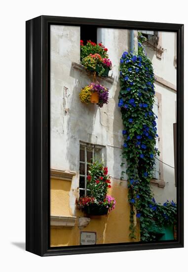 Building with Flower Pots on Each Window, Rue Des Arenes, Arles, Bouches-Du-Rhone-null-Framed Stretched Canvas